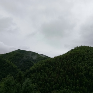 小心🐤入🍑🍑视频日本
