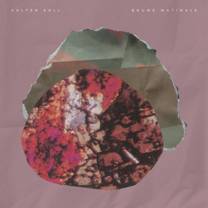 小心🐤入🍑🍑视频日本
